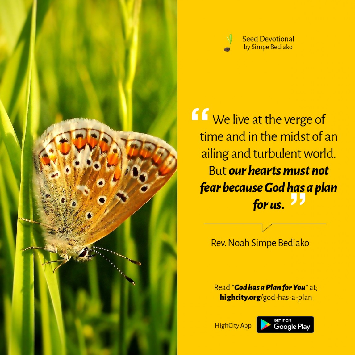God has a Plan for You - Seed for Today God has a Plan for You