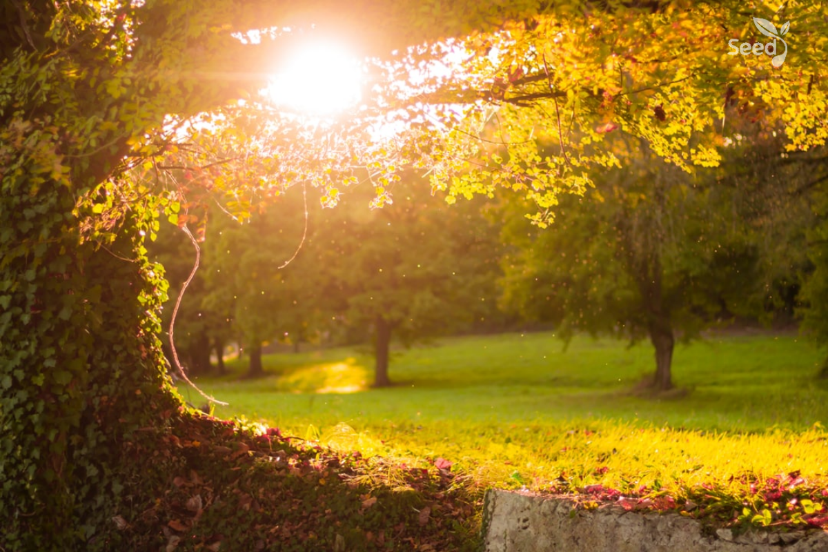 Understanding Your Christian Calling2 Understanding Your Christian Calling