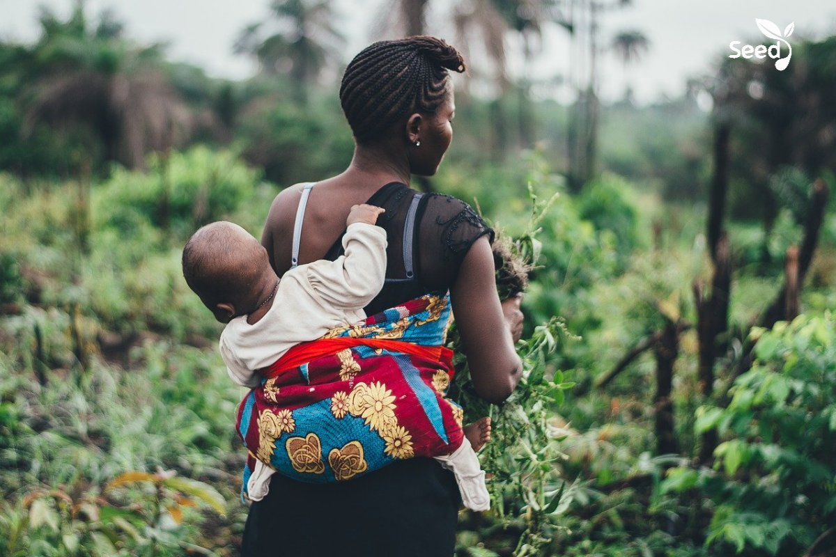 Mothering as a Way Maker – Seed for Today Mothering as a Way Maker 2 Mothering as a Way Maker