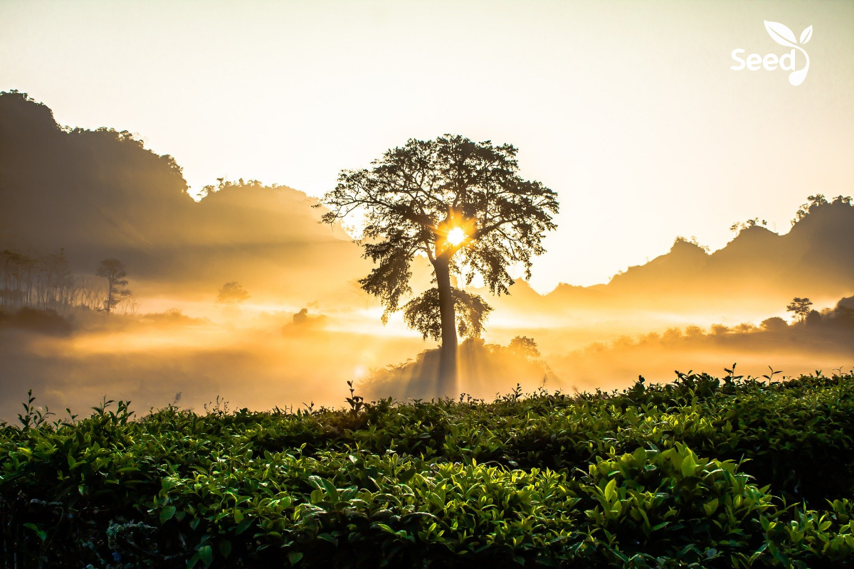 9 Secrets to a Happier Life – Seed for Today 9 Secrets to a Happier Life