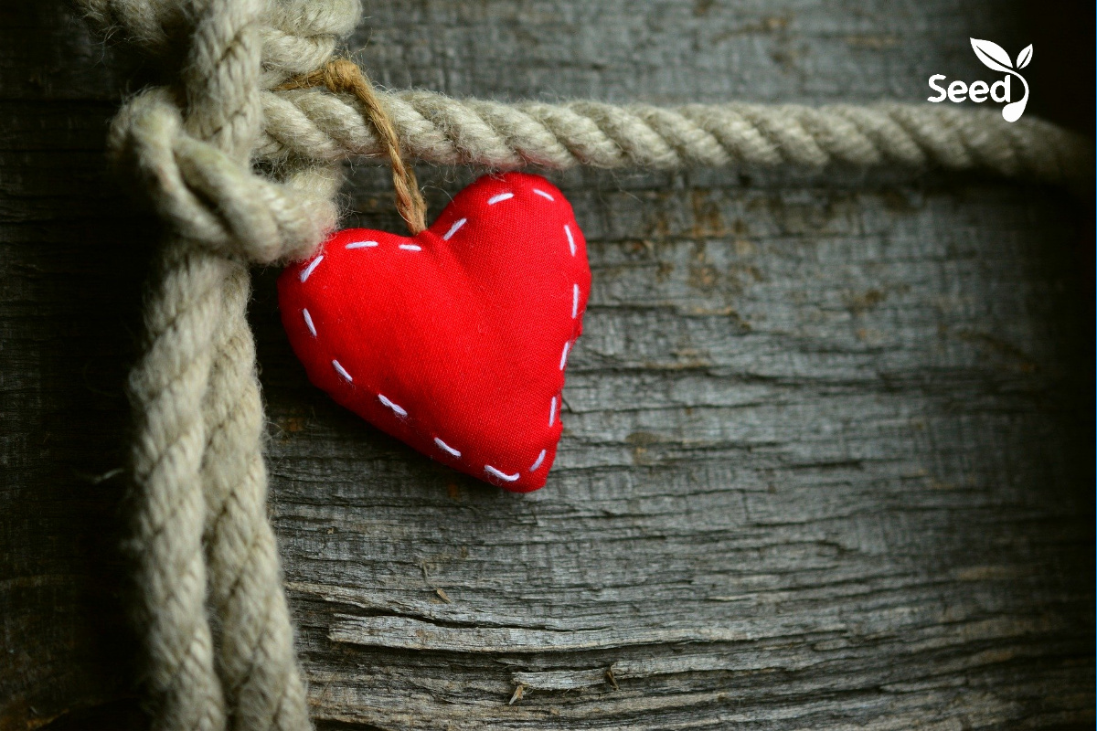 Soul Ties — Are they Real? - Seed for Today Soul-ties — Are they Real