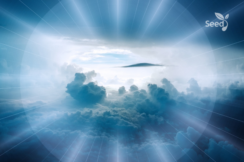 The Cost of Not Following Christ - Seed for Today Daily Devotional