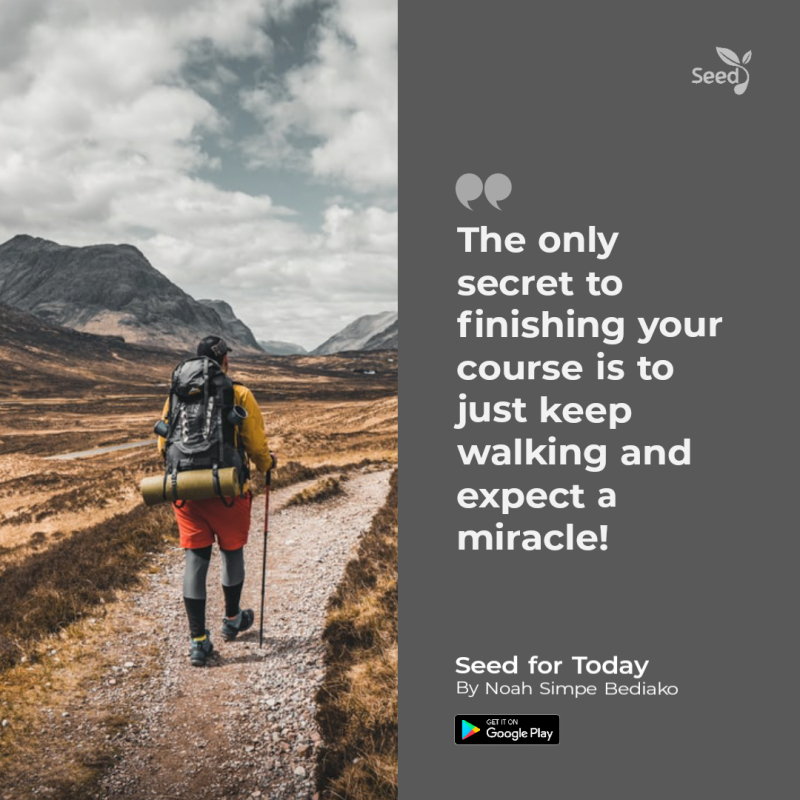 You can Expect a Miracle as You Walk in the Way – Seed for Today You can Expect a Miracle as You Walk in the Way
