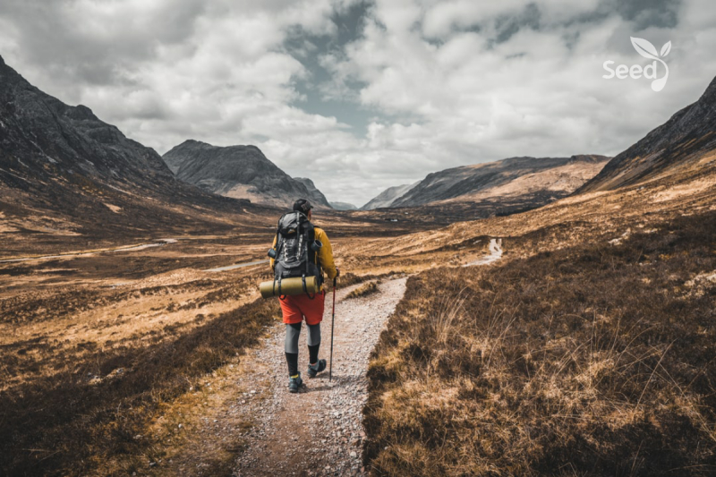 You can Expect a Miracle as You Walk in the Way – Seed for Today You can Expect a Miracle as You Walk in the Way
