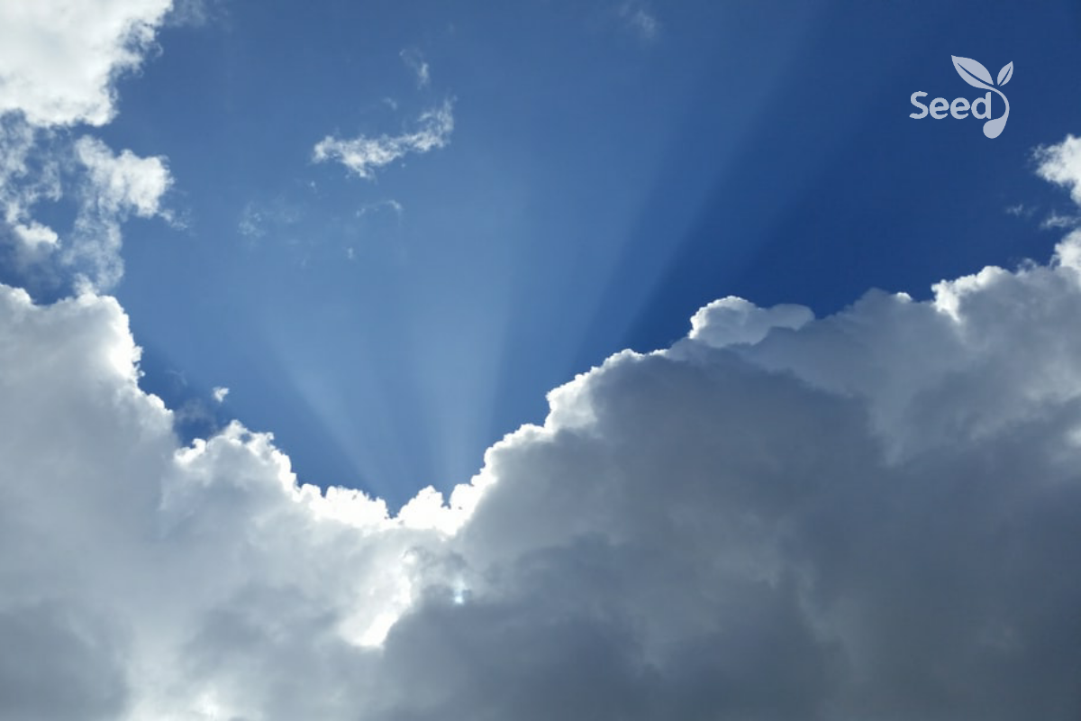 You Can Believe Jesus to Rapture You – Seed for Today You Can Believe Jesus to Rapture You
