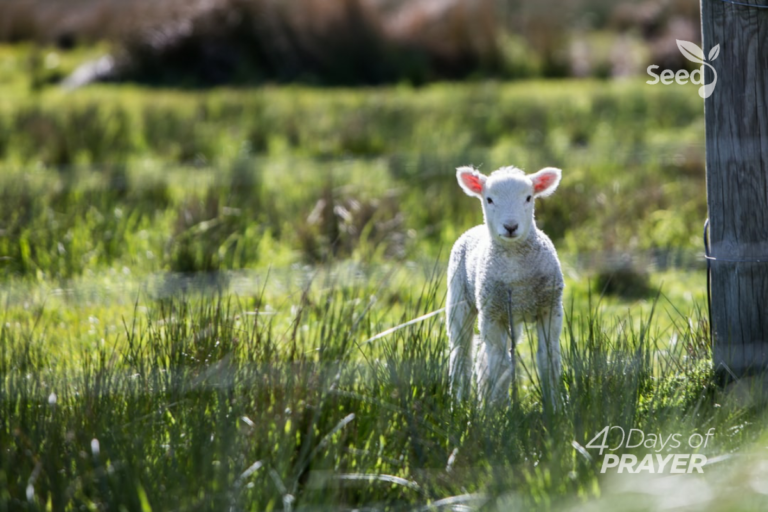 The Greatest Enemy of Faith is Laziness - Seed for Today Daily Devotional