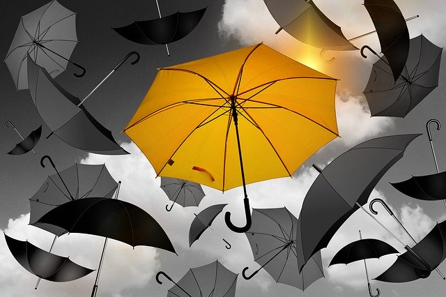 Why Many are Not Excelling! - Seed for Today 1588167 S Why Many are Not Excelling!