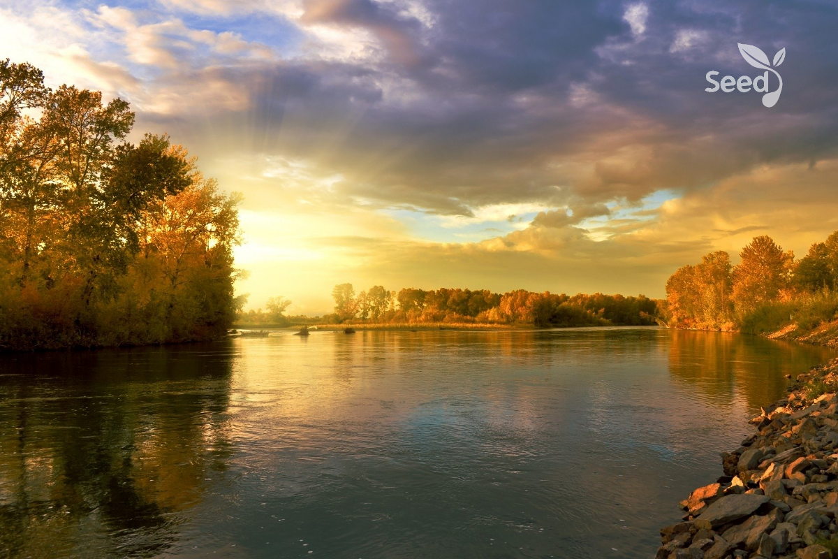 How to Improve Your Emotional Health – Seed for Today Adobe Post 20201017 1639290.5827431575298957 How to Improve Your Emotional Health
