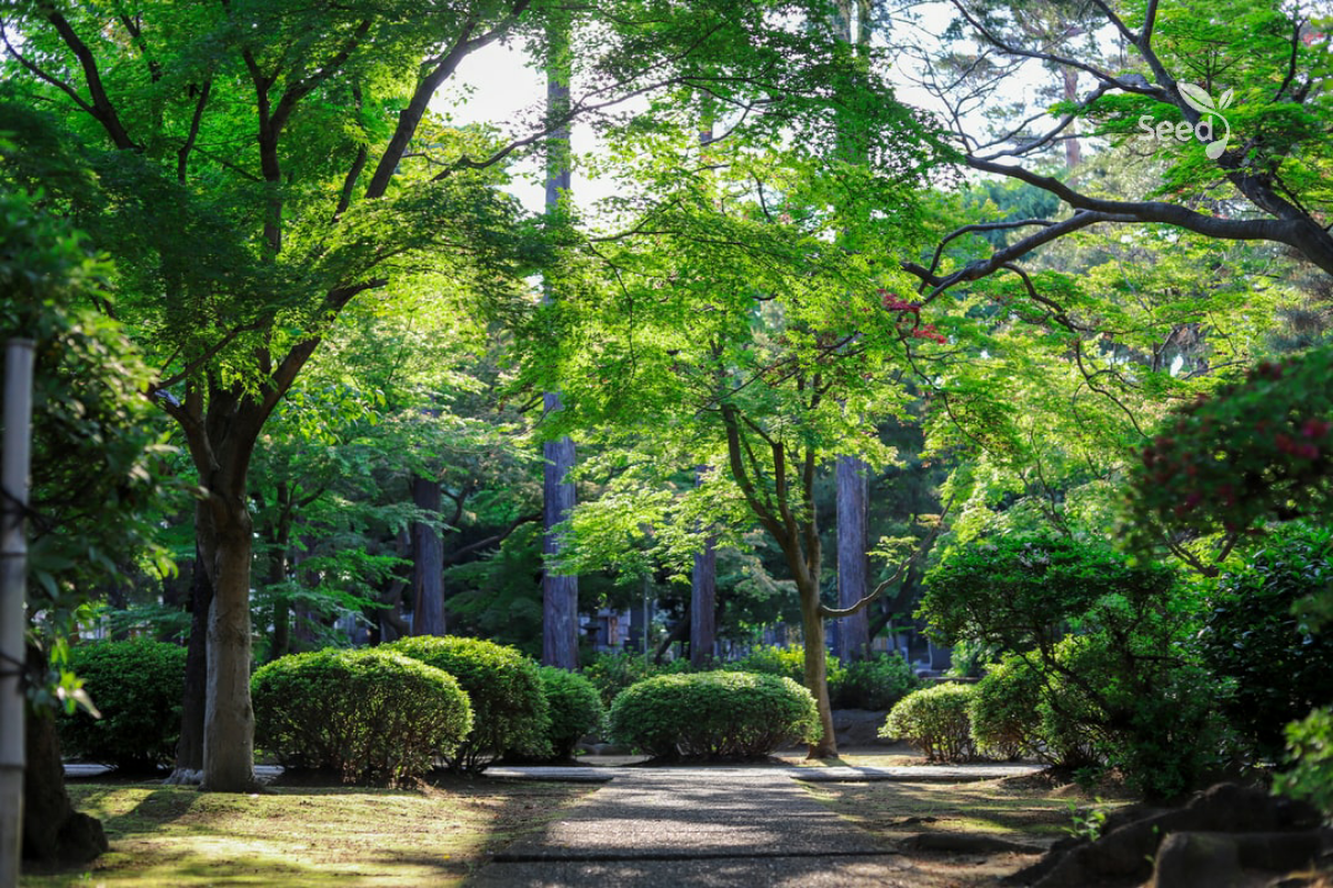 Adobe Post 20201021 0618010.6241791455419461 Gethsemane — Where Do You Often Resort To?
