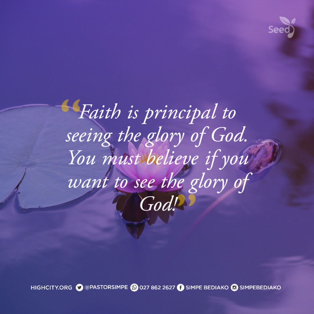 Taking a Leap of Faith – Seed for Today Faith is principal to seeing the glory of God. You must believe if you want to see the glory of God.