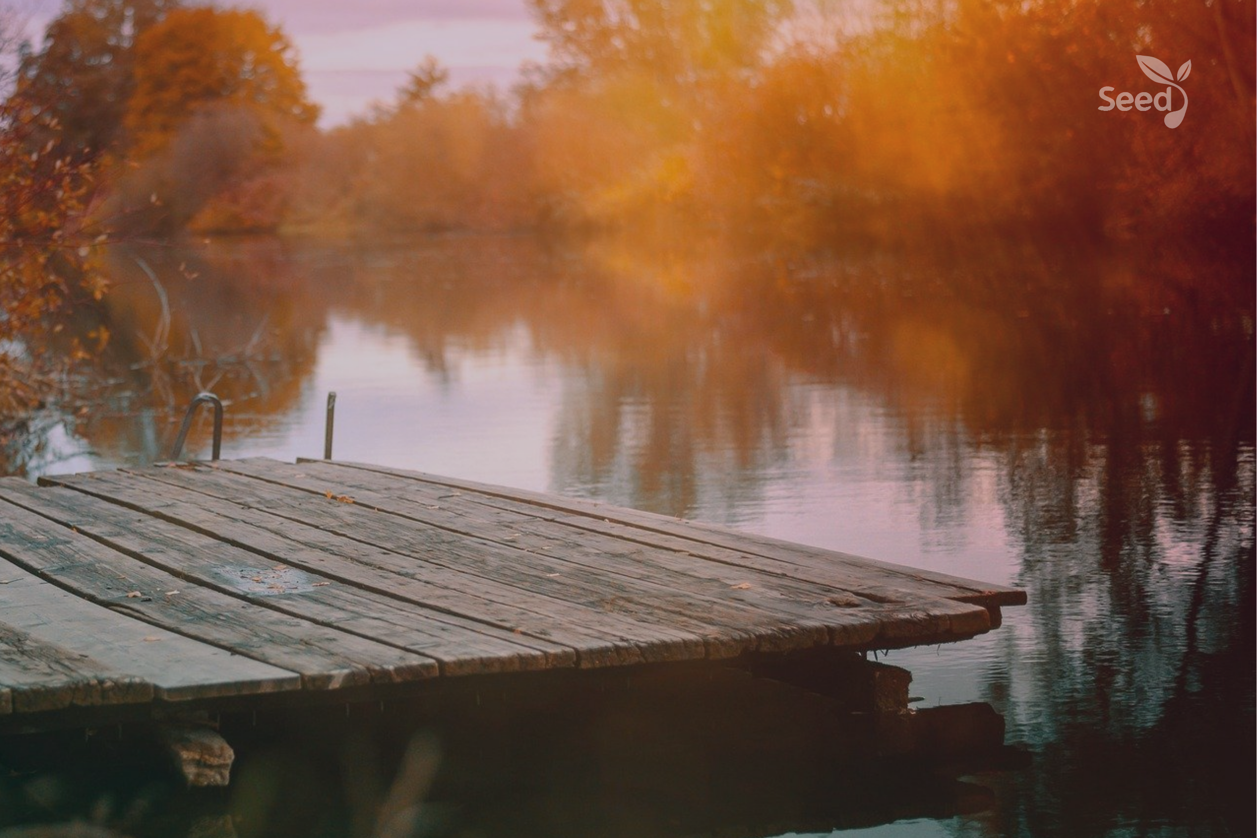 Maximising an Open Heaven - Seed for Today Daily Devotional