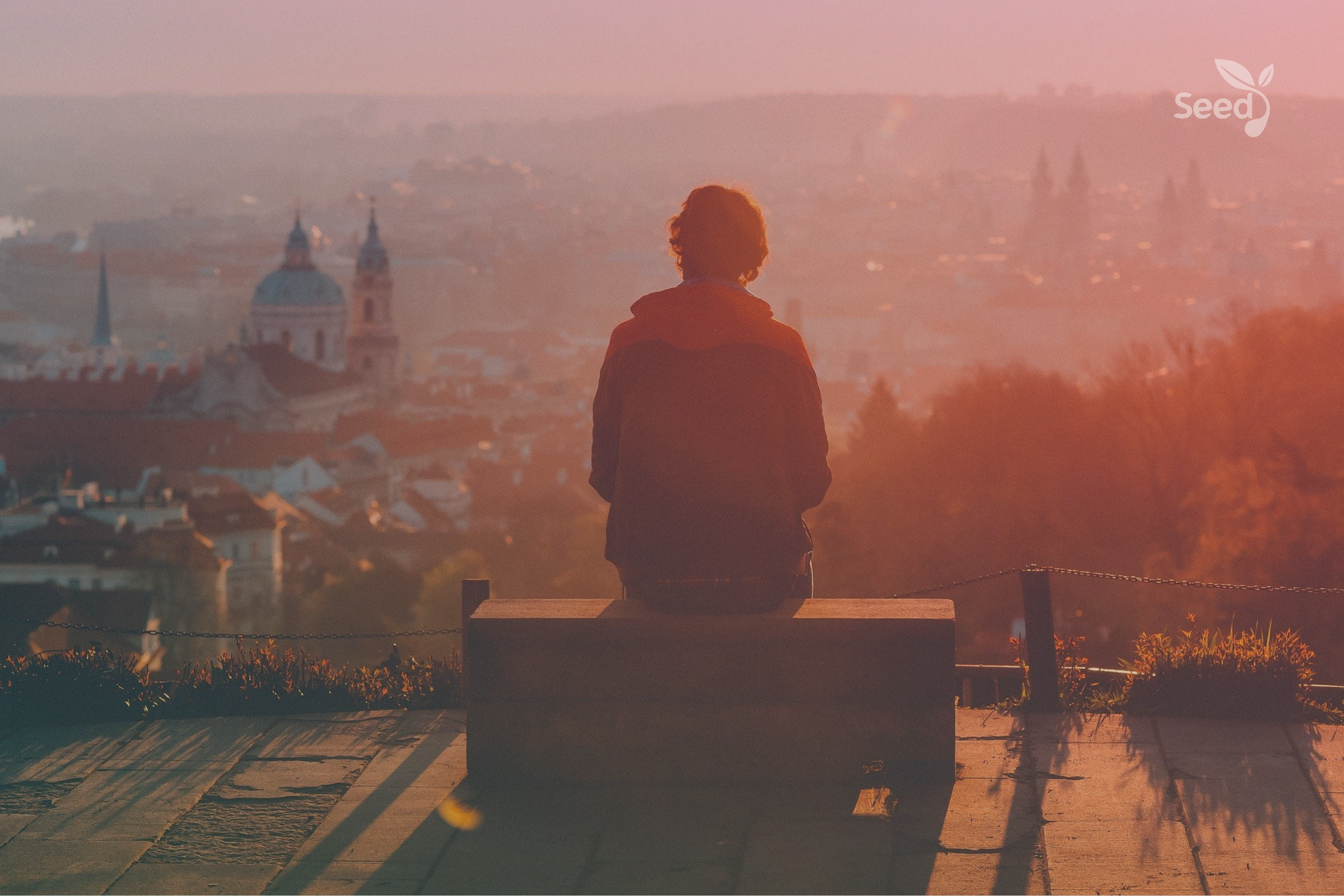 What if You Were the One God is Counting On? – Seed for Today Adobe Post 20211023 0429410.28544759962550736 What if You Were the One God is Counting On?