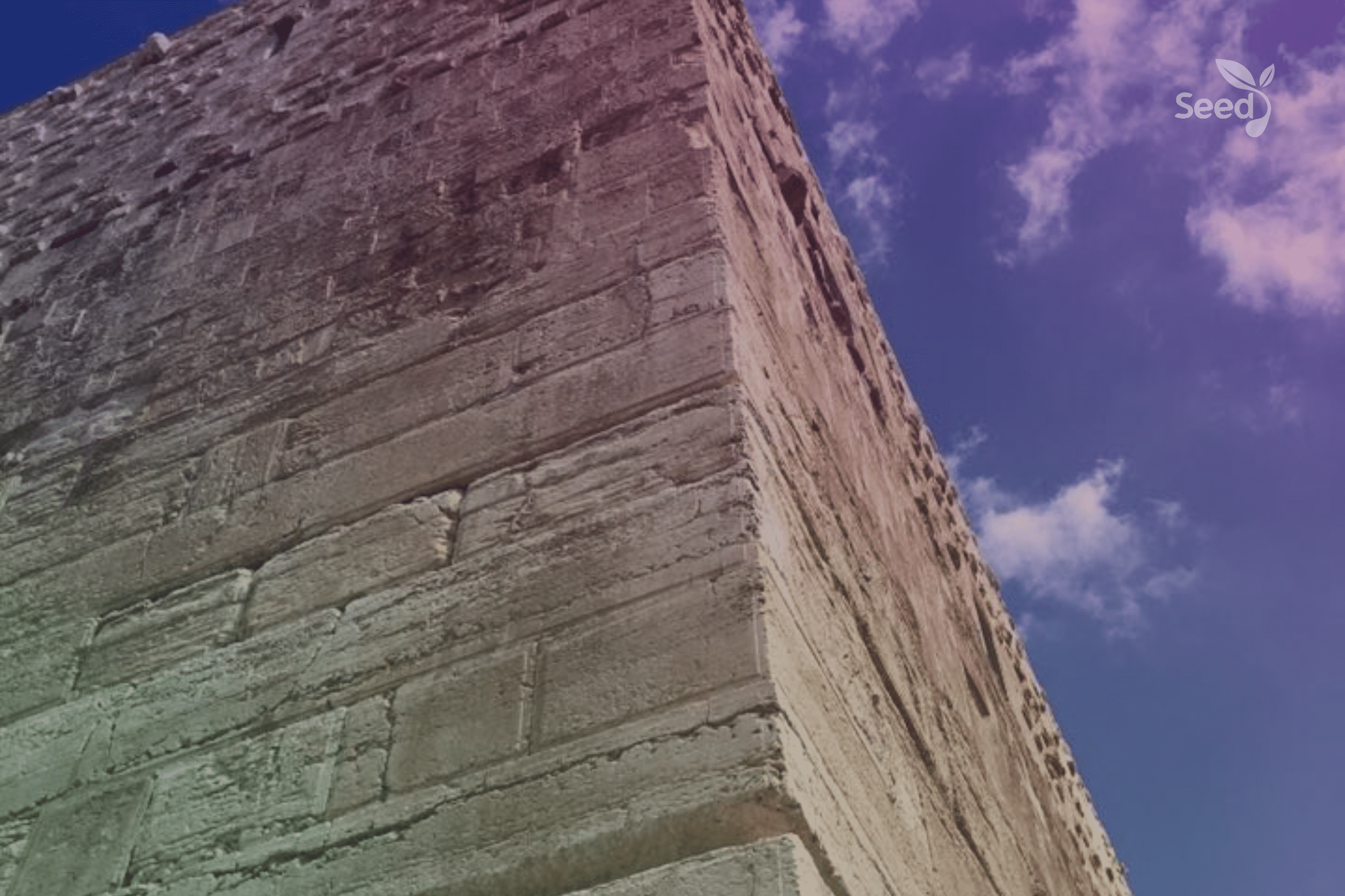 Confronting Jericho – Seed for Today Confronting Jericho