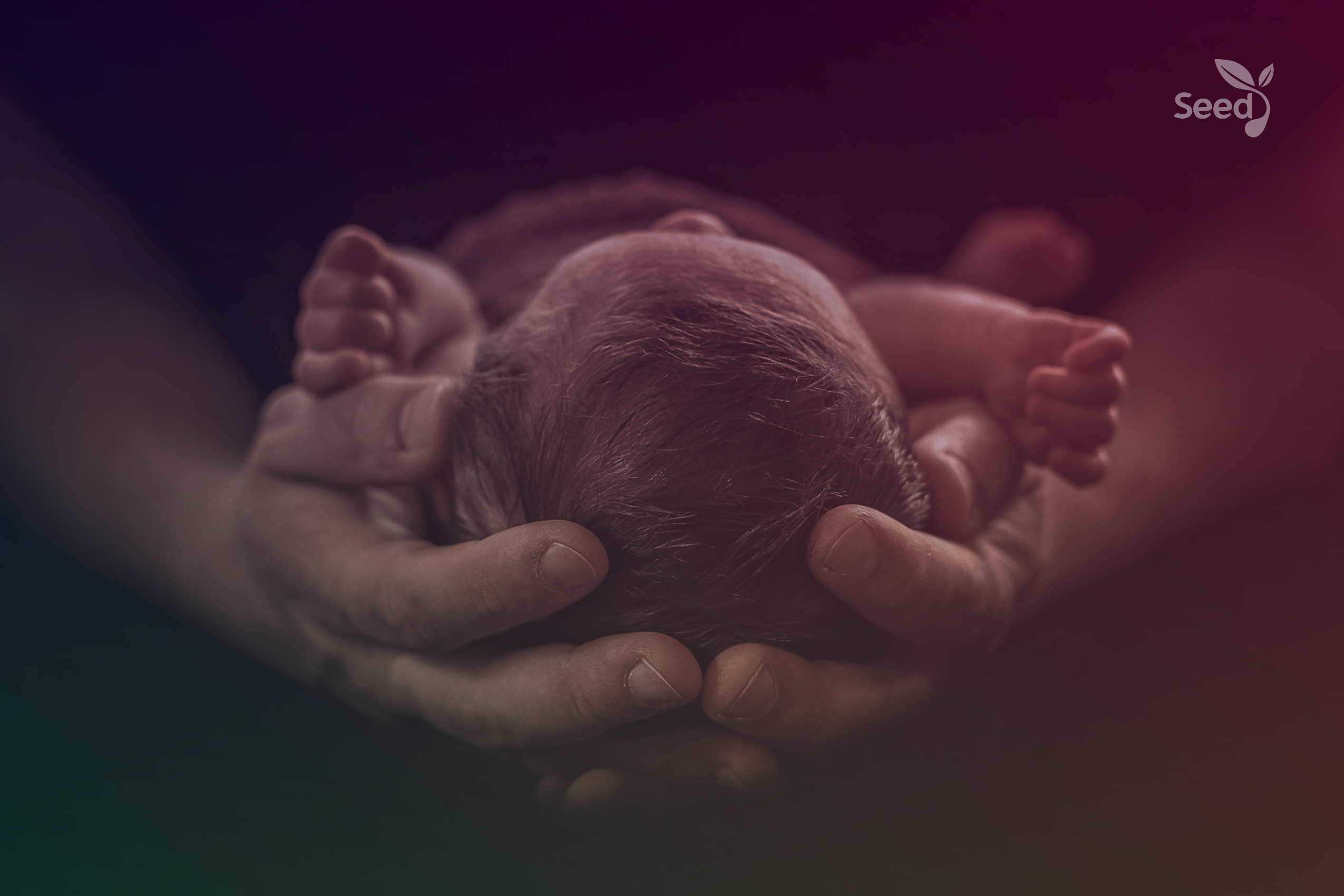 Pray for couples believing for the fruit of the womb!