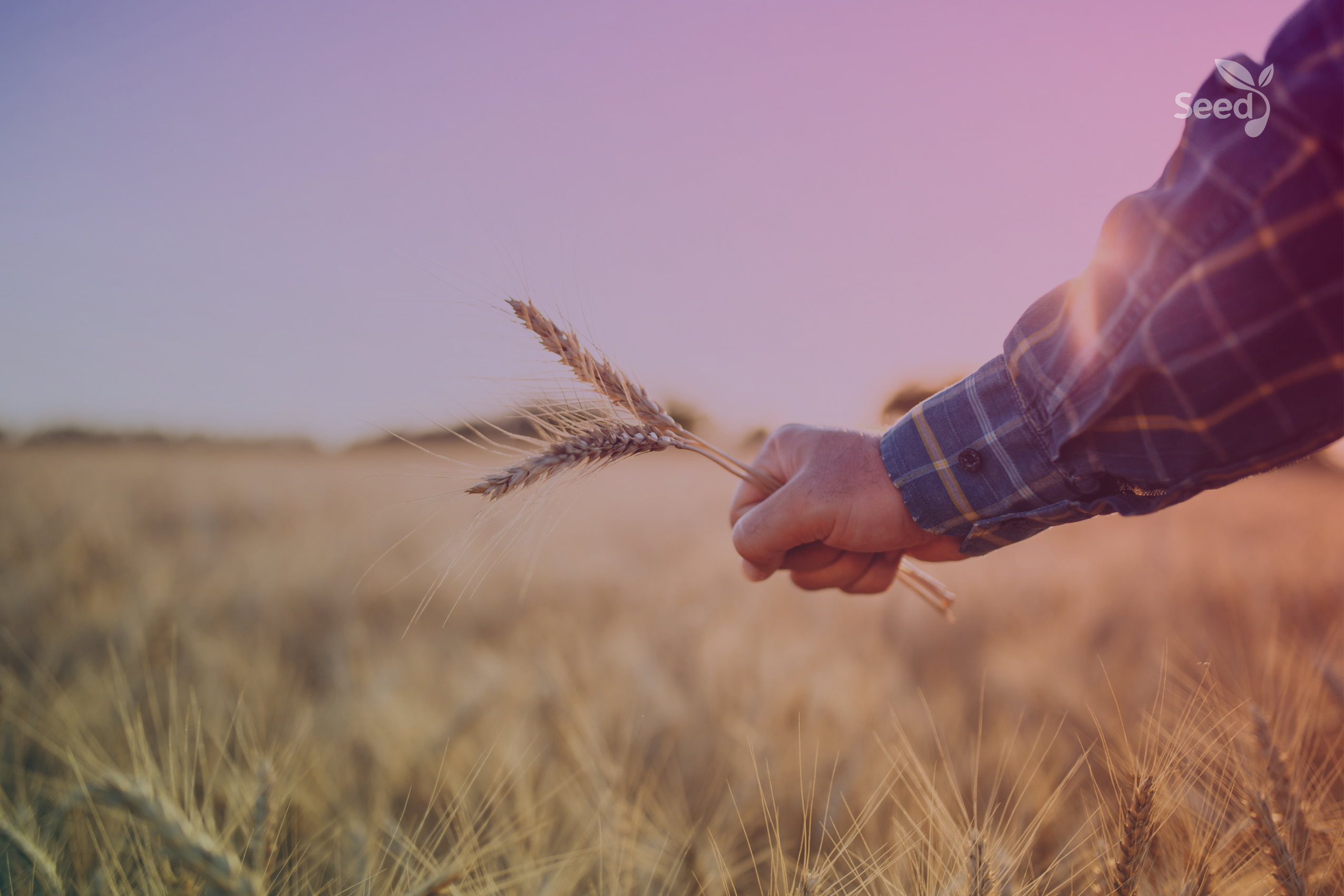 5 Benefits of Grace – Seed for Today 5 Benefits of Grace