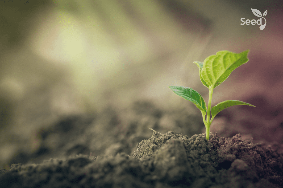 Prayer for personal spiritual growth