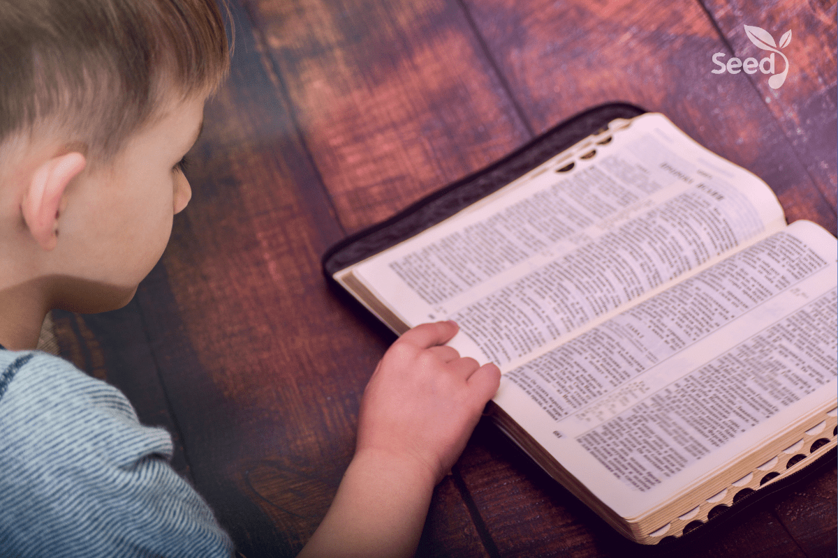 7 Things successful Christians do daily – Seed for Today 7 Things successful Christians do daily 7 Things successful Christians do daily