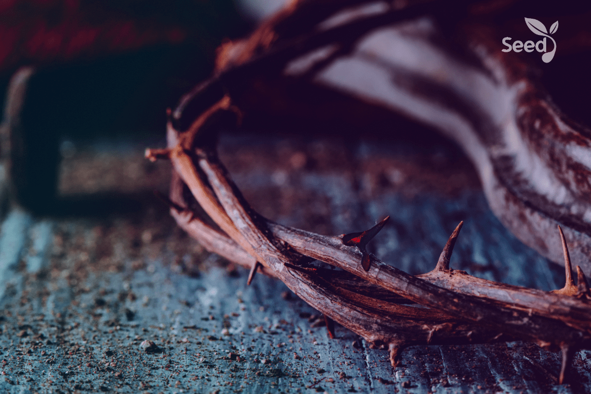 Invoke the blood daily! - Seed for Today Daily Devotional