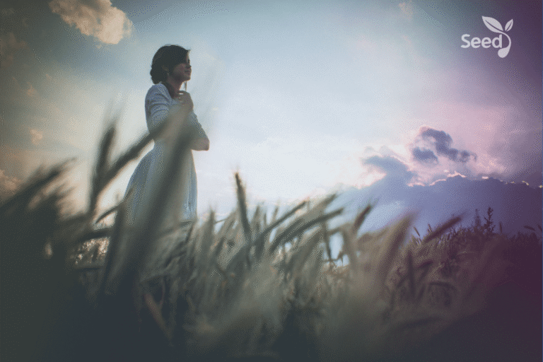 How to build up yourself! - Seed for Today Daily Devotional