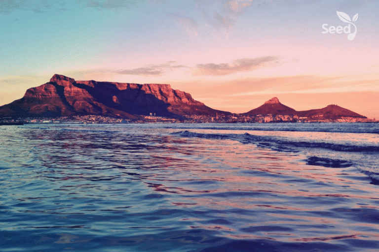 It is by the proportion of faith - Seed for Today Daily Devotional