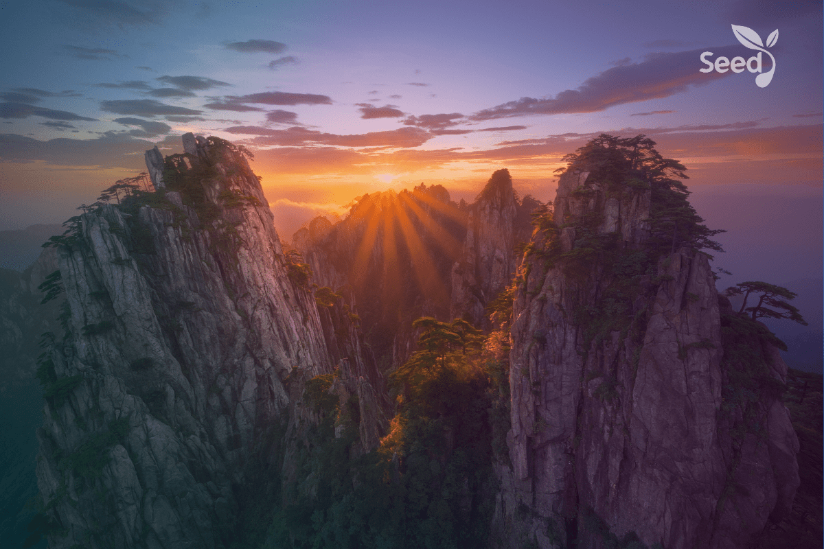 Let God hear your voice every morning! – Seed for Today Let God hear your voice every morning!