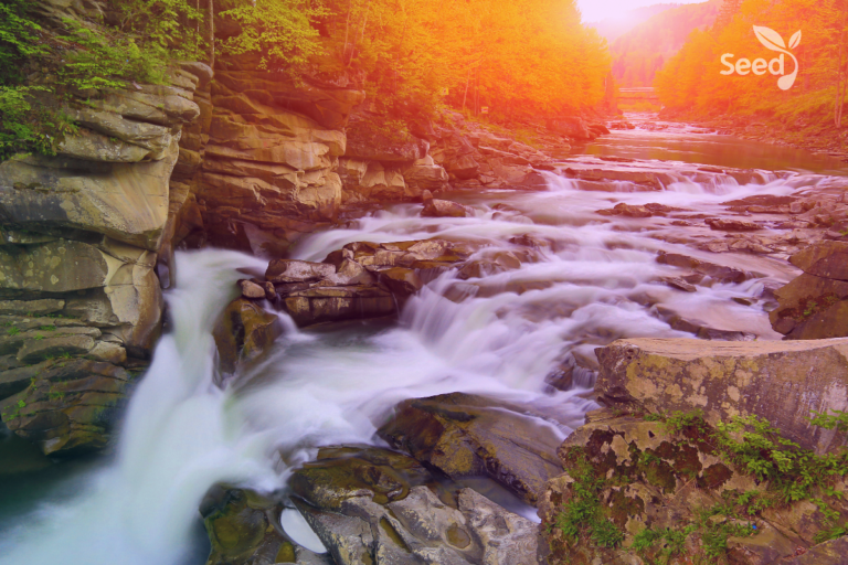 4 Spiritual experiences everyone should crave - Seed for Today Daily Devotional