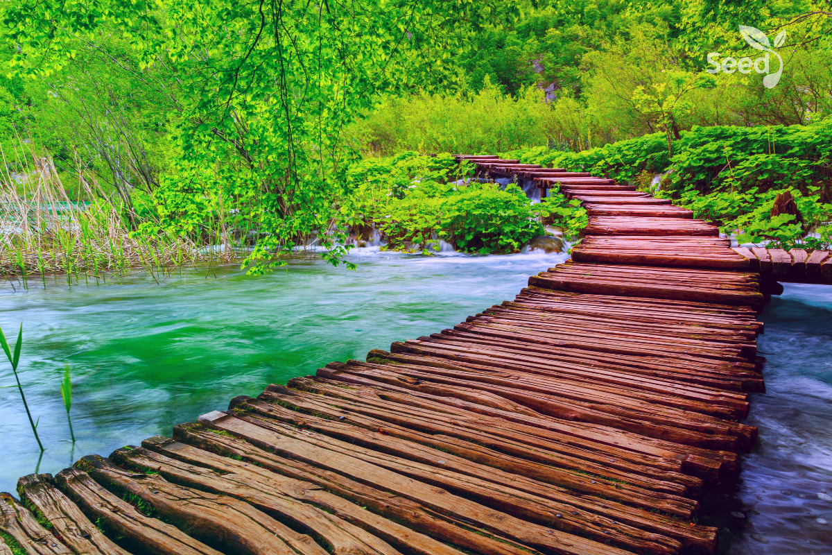 Become highly spiritual – Seed for Today Become highly spiritual