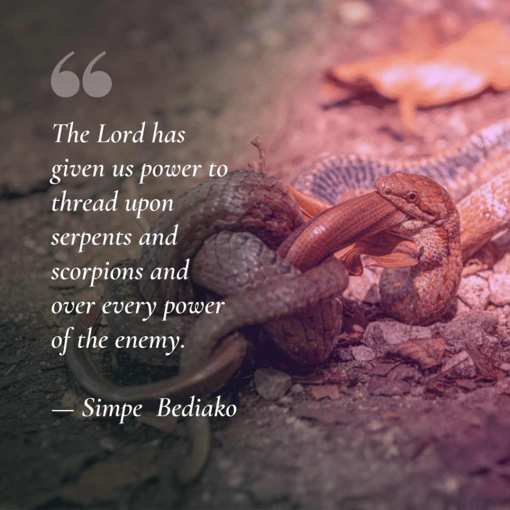 Exercise your given authority – Seed for Today Exercise your given authority Simpe Bediako Exercise your given authority