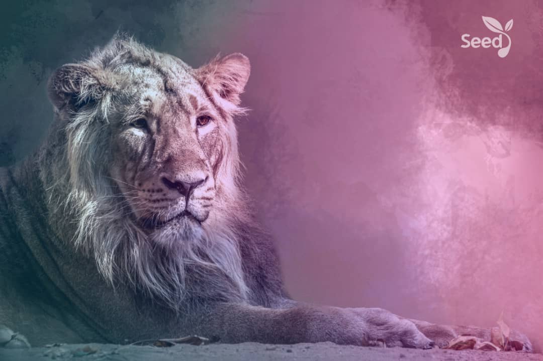 God will shut the mouth of every lions! – Seed for Today God will shut the mouth of every lions 1 God will shut the mouth of every lions!