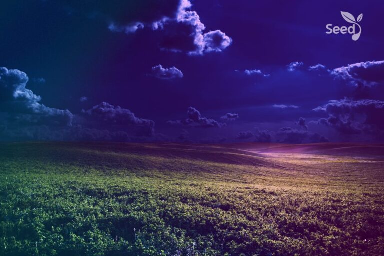 Whosoever is born of God overcomes the world - Seed for Today Daily Devotional