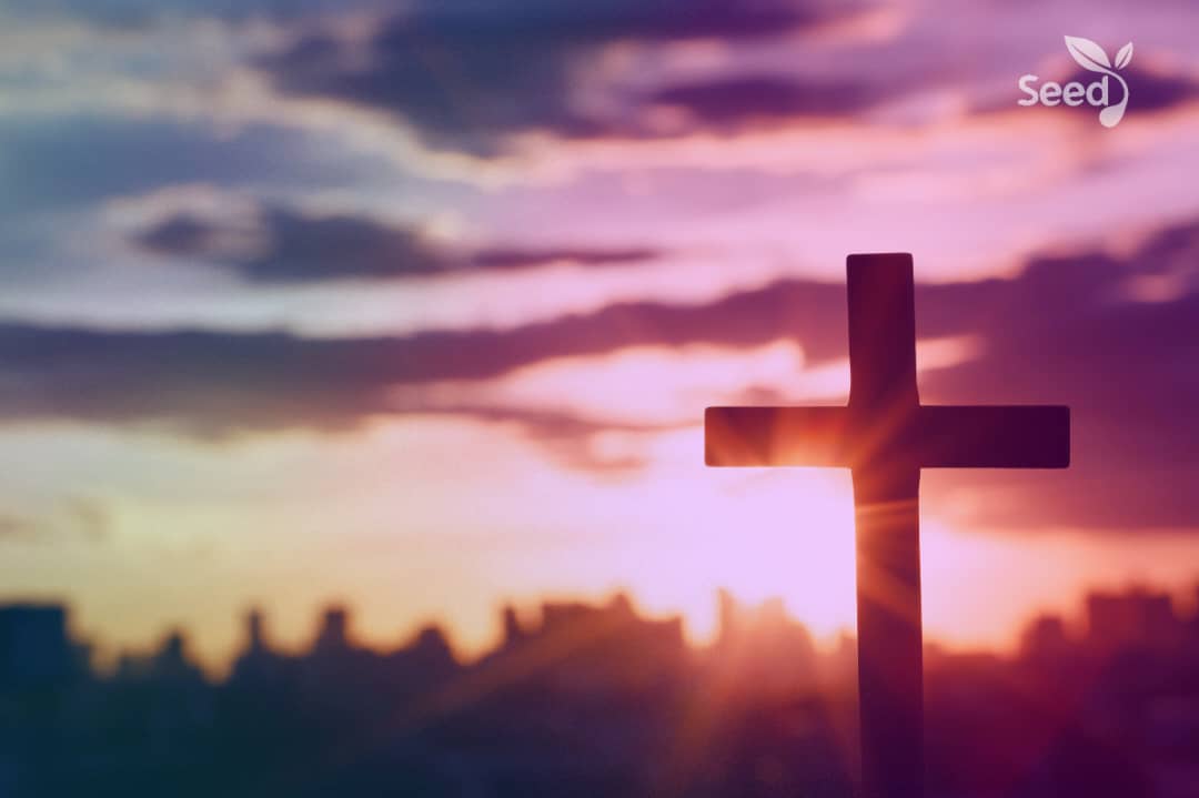 Look and live! Look to Jesus now! – Seed for Today Look and live Look to Jesus now 1 Look and live! Look to Jesus now!