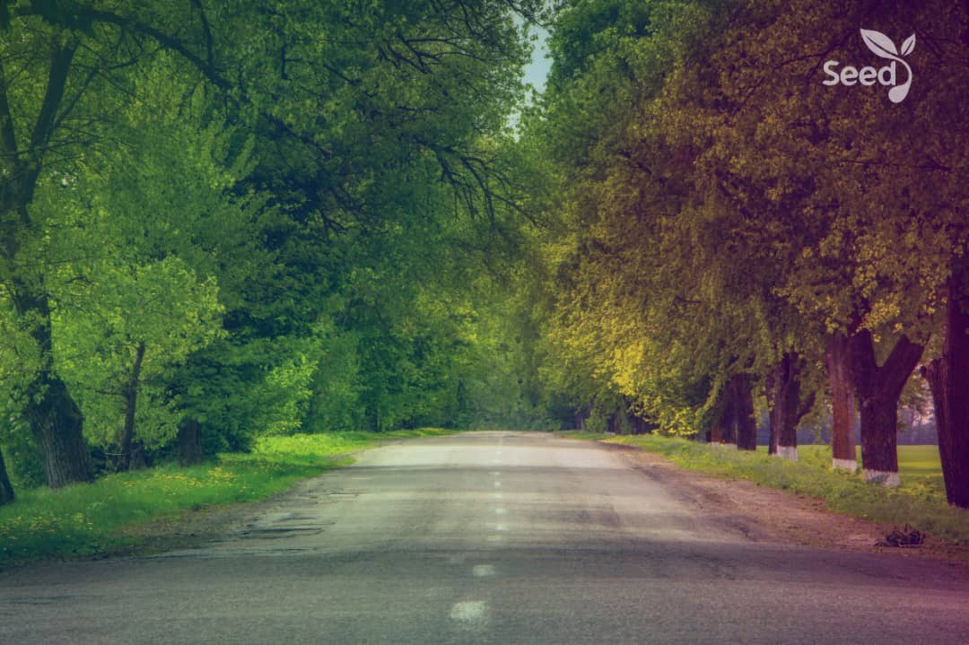 The antidote for anxiety – Seed for Today The antidote for anxiety - Seed for Today Daily Devotional