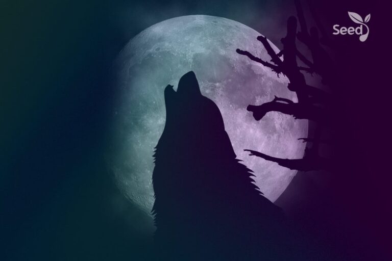 It’s time to ravin as a wolf - Seed for Today Daily Devotional