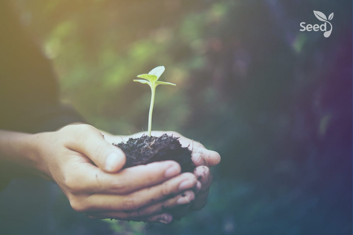 Rekindle the culture that brings growth! – Seed for Today Rekindle the culture that brings growth Rekindle the culture that brings growth!