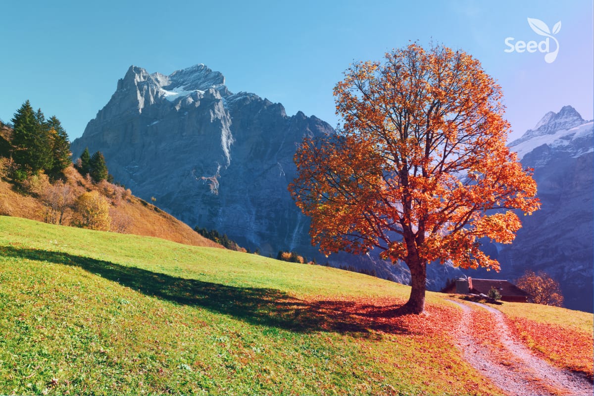 Be found faithful – Seed for Today Be found faithful - Seed for Today Daily Devotional