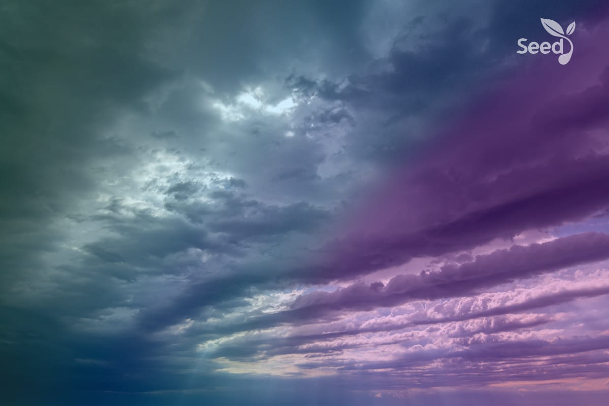 No more dark days – Seed for Today No more dark days - Seed for Today Daily Devotional