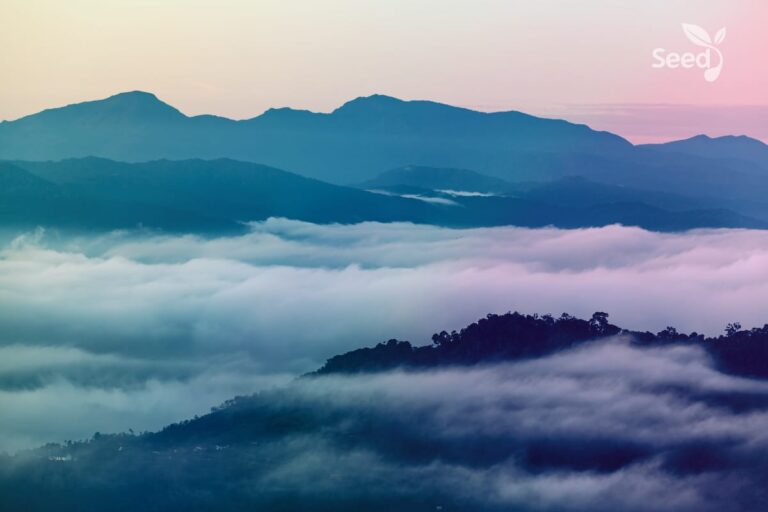 What does the Lord expect of you? - Seed for Today Daily Devotional