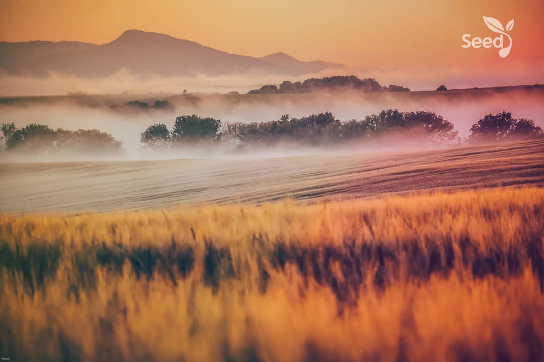 Break and GO Prayer - Seed for Today Daily Devotional