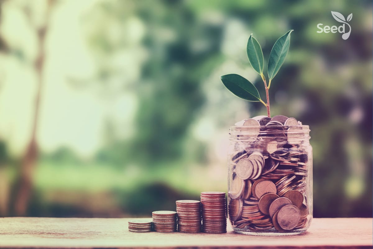 Money guidelines Break free; gain financial freedom