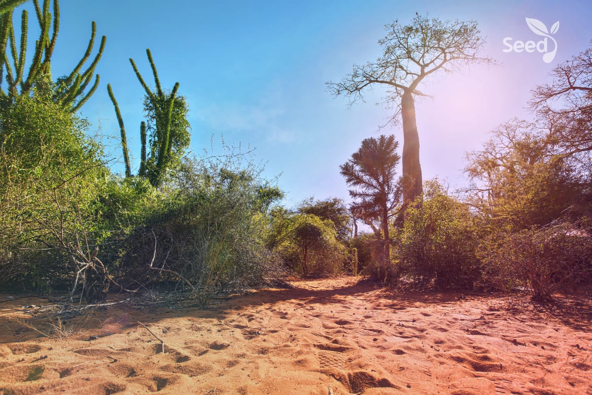 Break up your fallow ground Break-up your fallow grounds