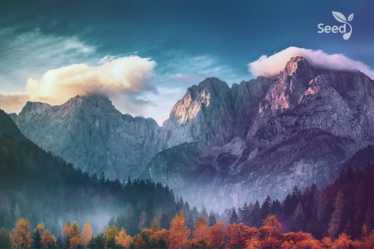 We need a touch from God! - Seed for Today Daily Devotional