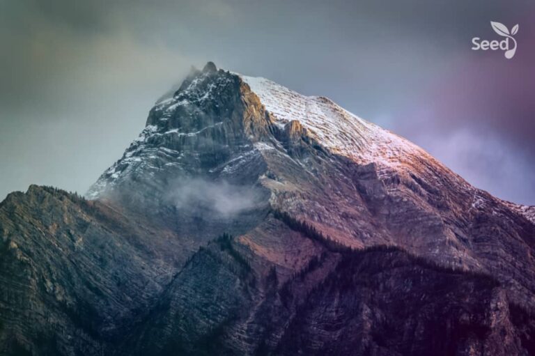 If you want mountains to move….. - Seed for Today Daily Devotional