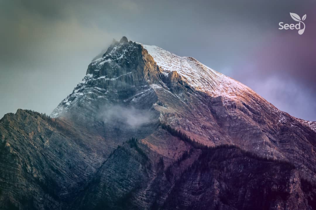 If you want mountains to move….. – Seed for Today If you want mountains to move… If you want mountains to move…..