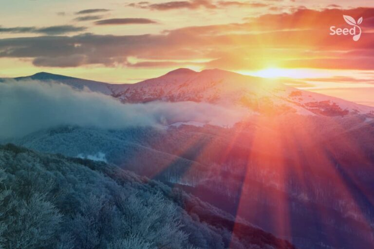 The keys to cross over 2024 - Seed for Today Daily Devotional
