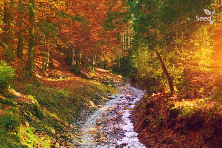 Stop complaining and give it to Him - Seed for Today Daily Devotional