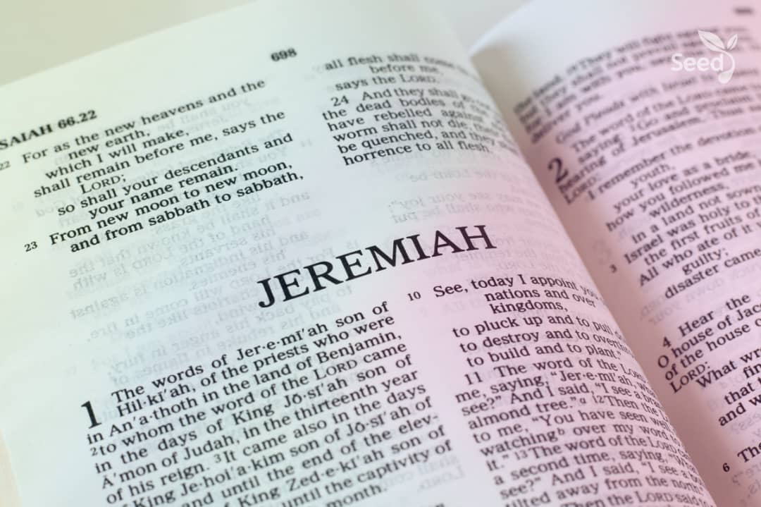 How to receive prophecy 1 How to receive prophecy