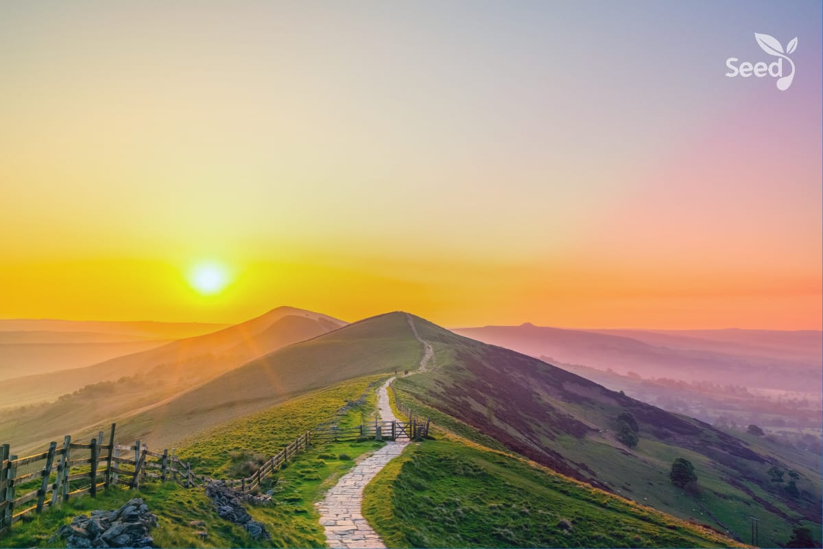 Return to the simplicity in Christ – Seed for Today Return to the simplicity in Christ Return to the simplicity in Christ