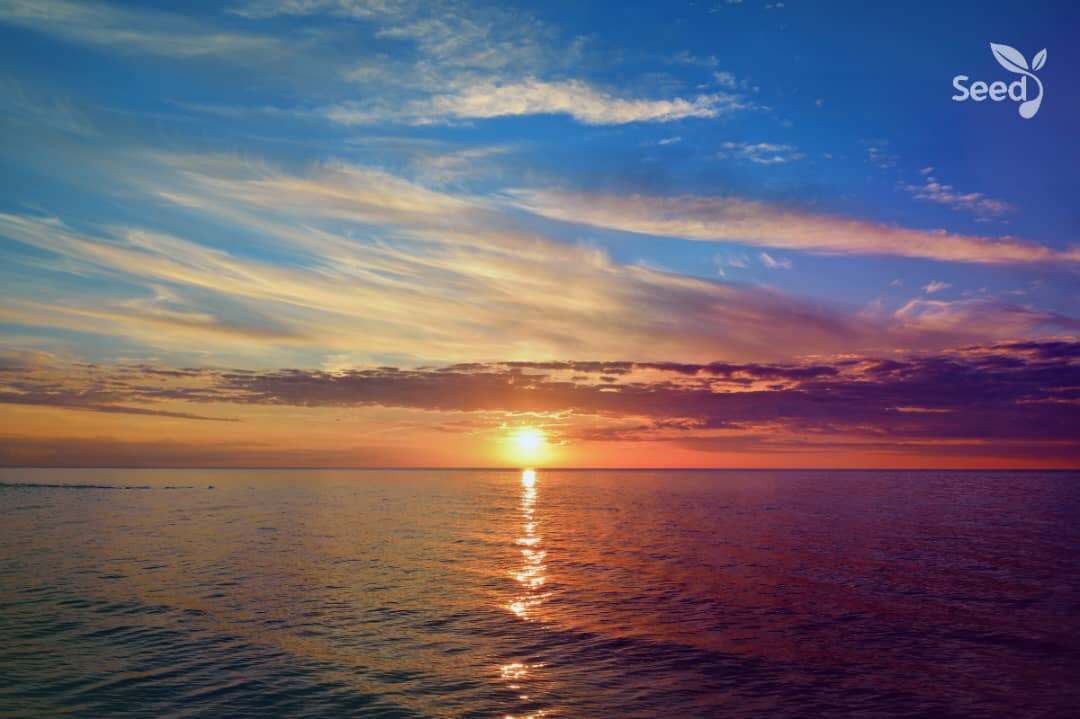The God of miracles is thinking about you! – Seed for Today The God of miracles is thinking about you The God of miracles is thinking about you!