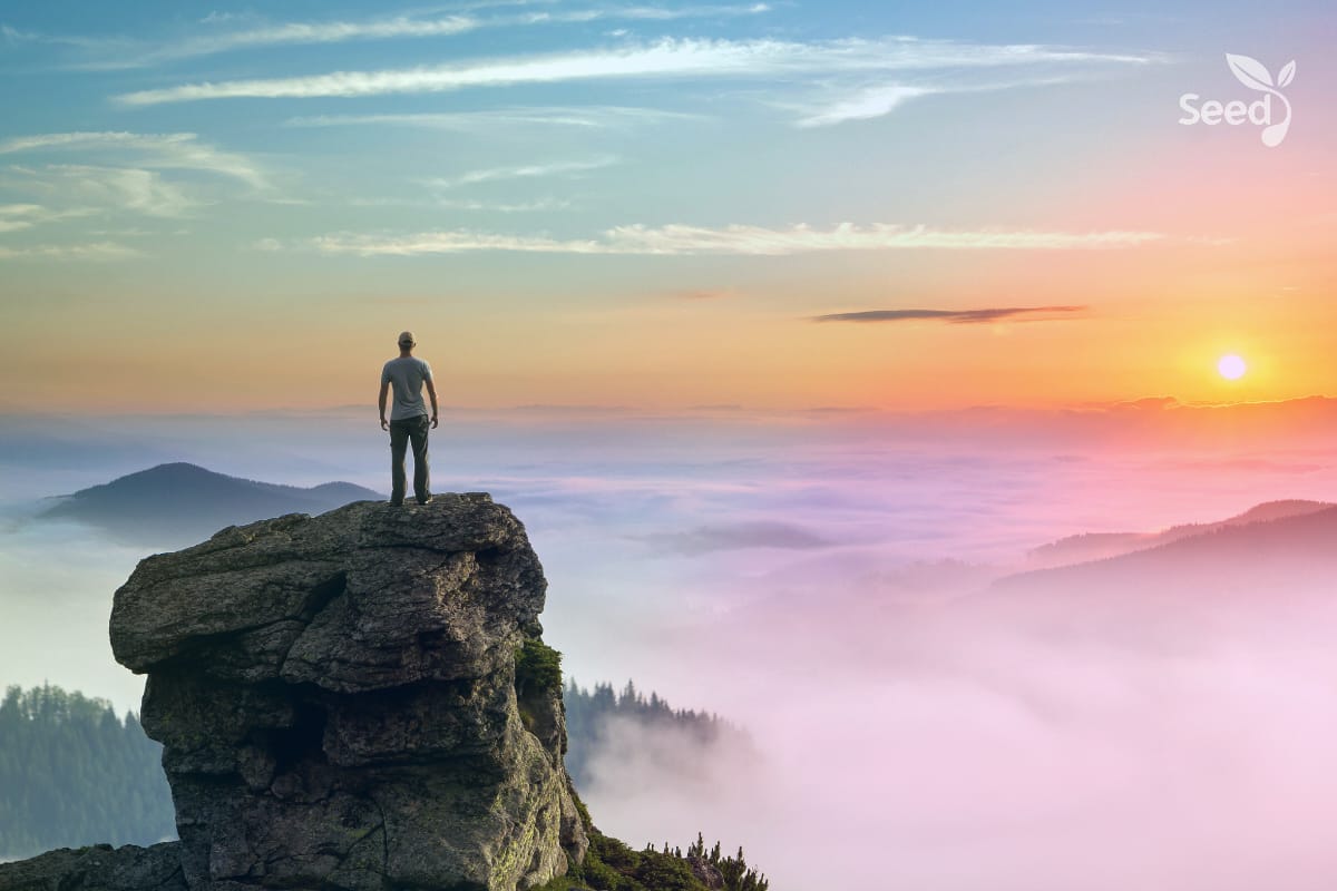 Sometimes what you do is not who you are! – Seed for Today Sometimes what you do is not who you are! - Seed for Today Daily Devotional