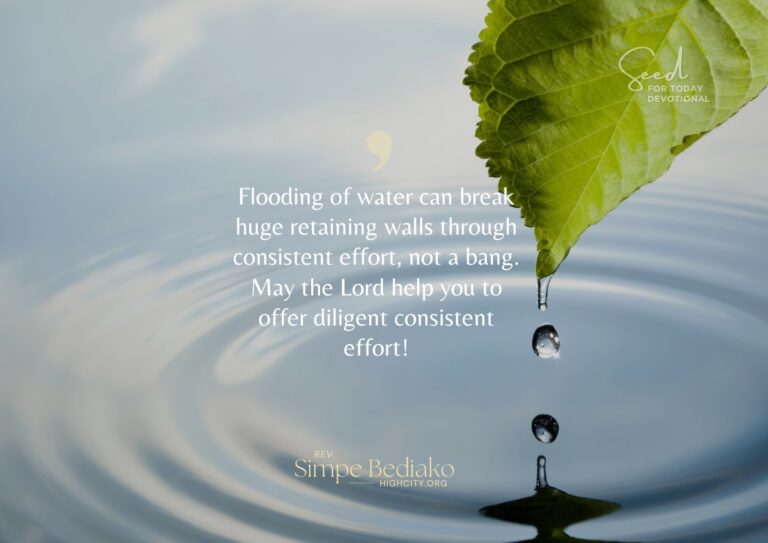 4 tips to make an impact - Seed for Today Daily Devotional